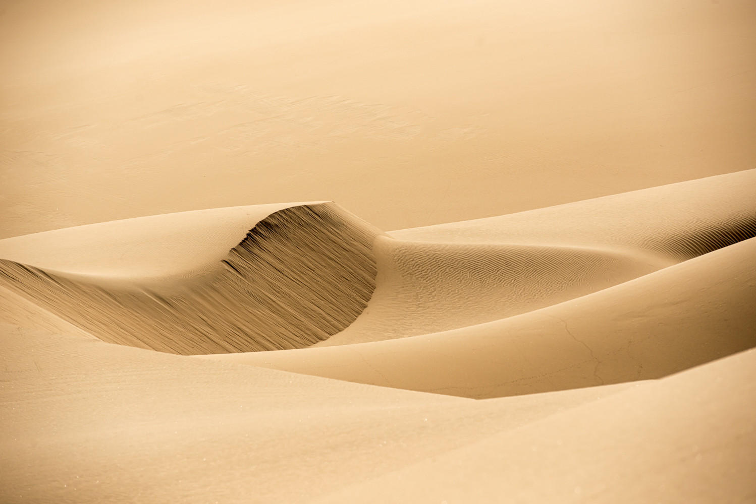 La Femme : Namibia, The Land of Dunes : ELIZABETH SANJUAN PHOTOGRAPHY