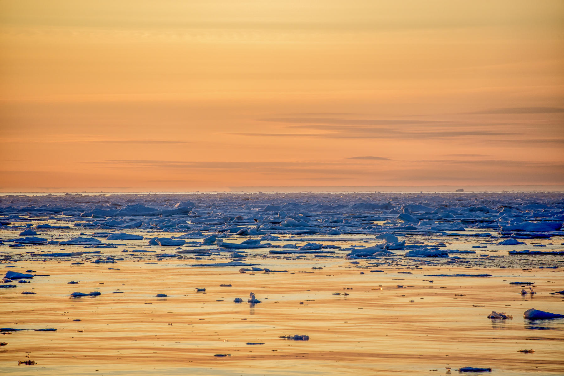 Kiss of the Sun, Greenland
 : Arctic, A Sea of Ice : ELIZABETH SANJUAN PHOTOGRAPHY