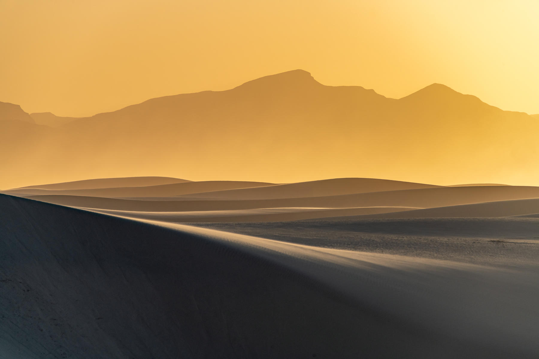 Desert Fan : White Sands, Glistening Sands of New Mexico : ELIZABETH SANJUAN PHOTOGRAPHY