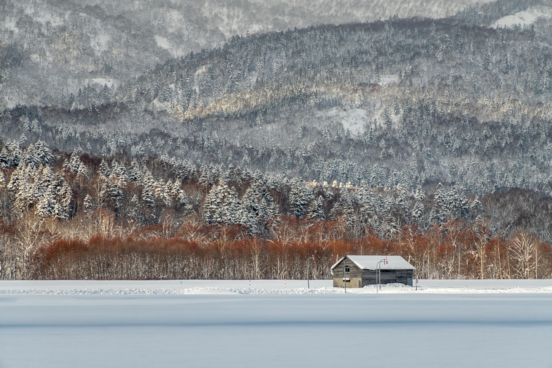 Solitude : Japan, Hokkaido, Silent Snow : ELIZABETH SANJUAN PHOTOGRAPHY