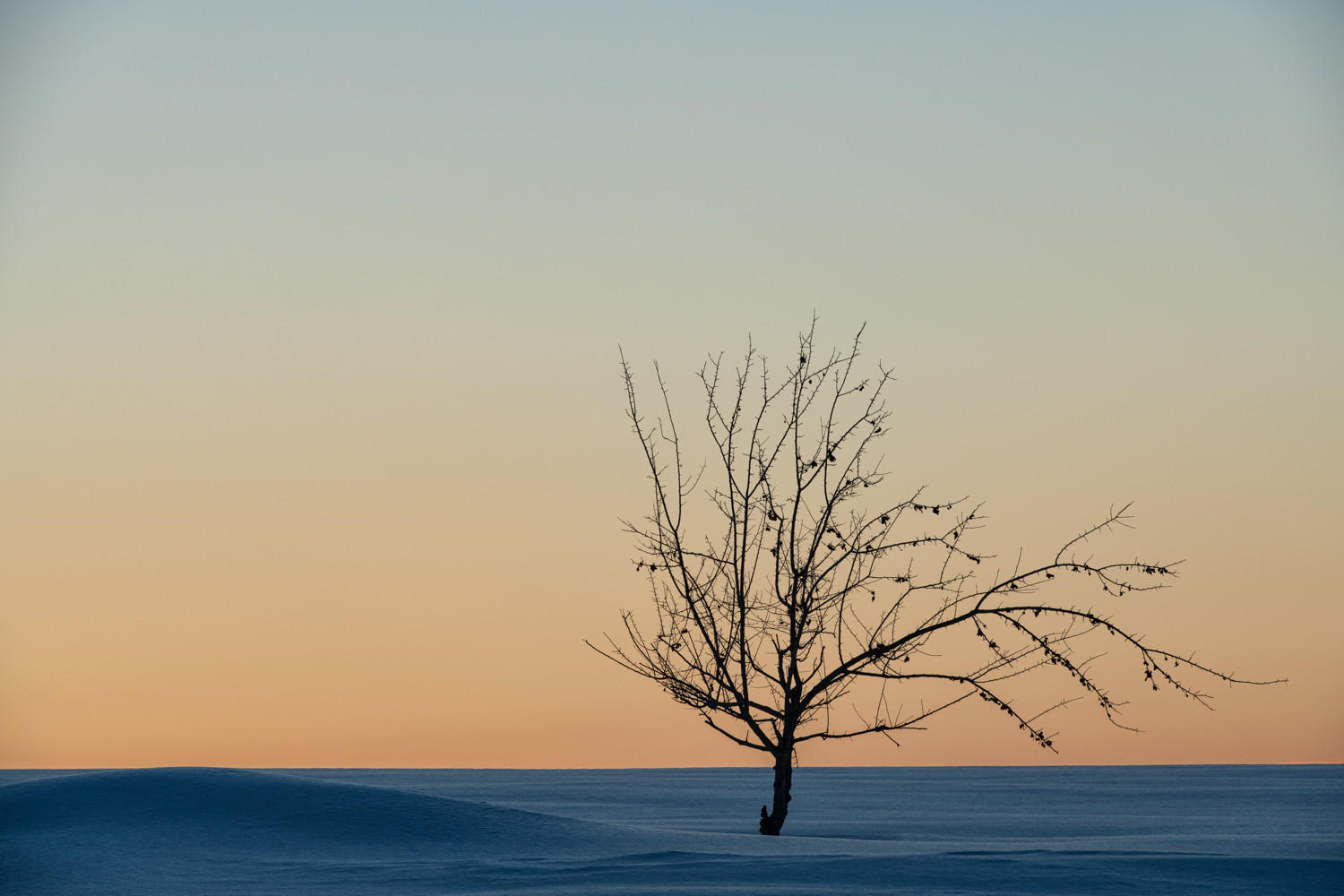 Golden Light : Japan, Hokkaido, Silent Snow : ELIZABETH SANJUAN PHOTOGRAPHY