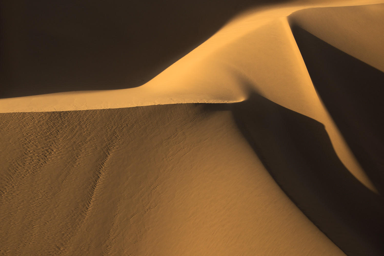 Black and Gold Dunes : Namibia, The Land of Dunes : ELIZABETH SANJUAN PHOTOGRAPHY