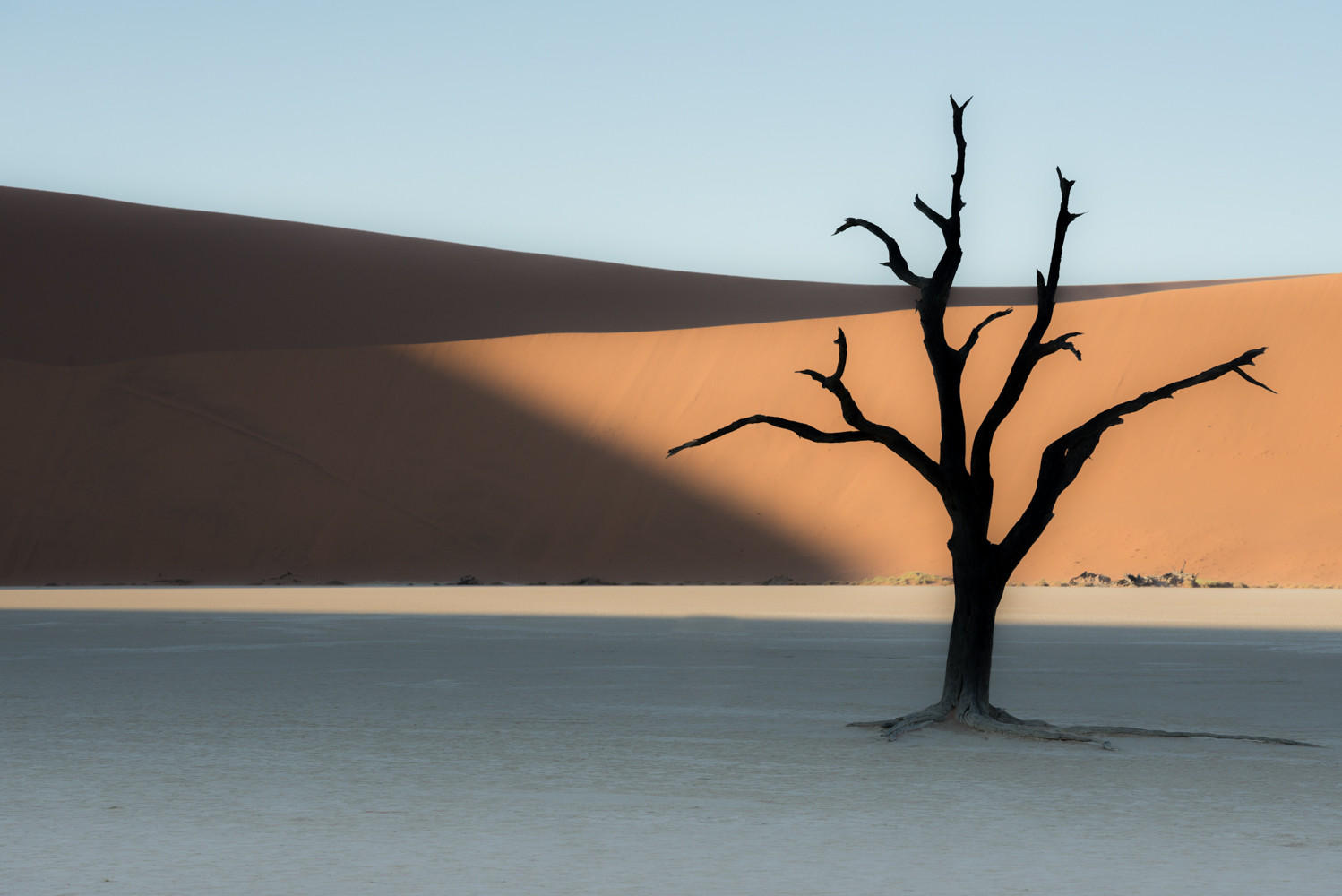 Sossuslvei, Namibia : Trees, Our Oxygen : ELIZABETH SANJUAN PHOTOGRAPHY
