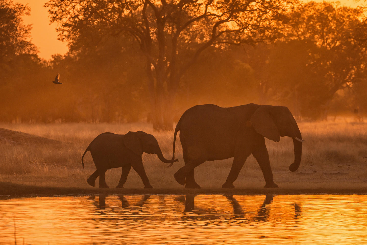 Sunset Stroll : Earthbound : ELIZABETH SANJUAN PHOTOGRAPHY