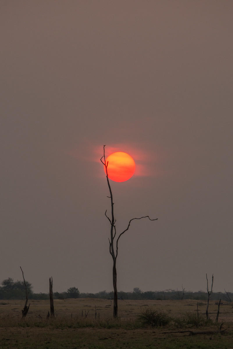 Sunset in the Smoke : Zimbabwe, Where Elephants Reign : ELIZABETH SANJUAN PHOTOGRAPHY