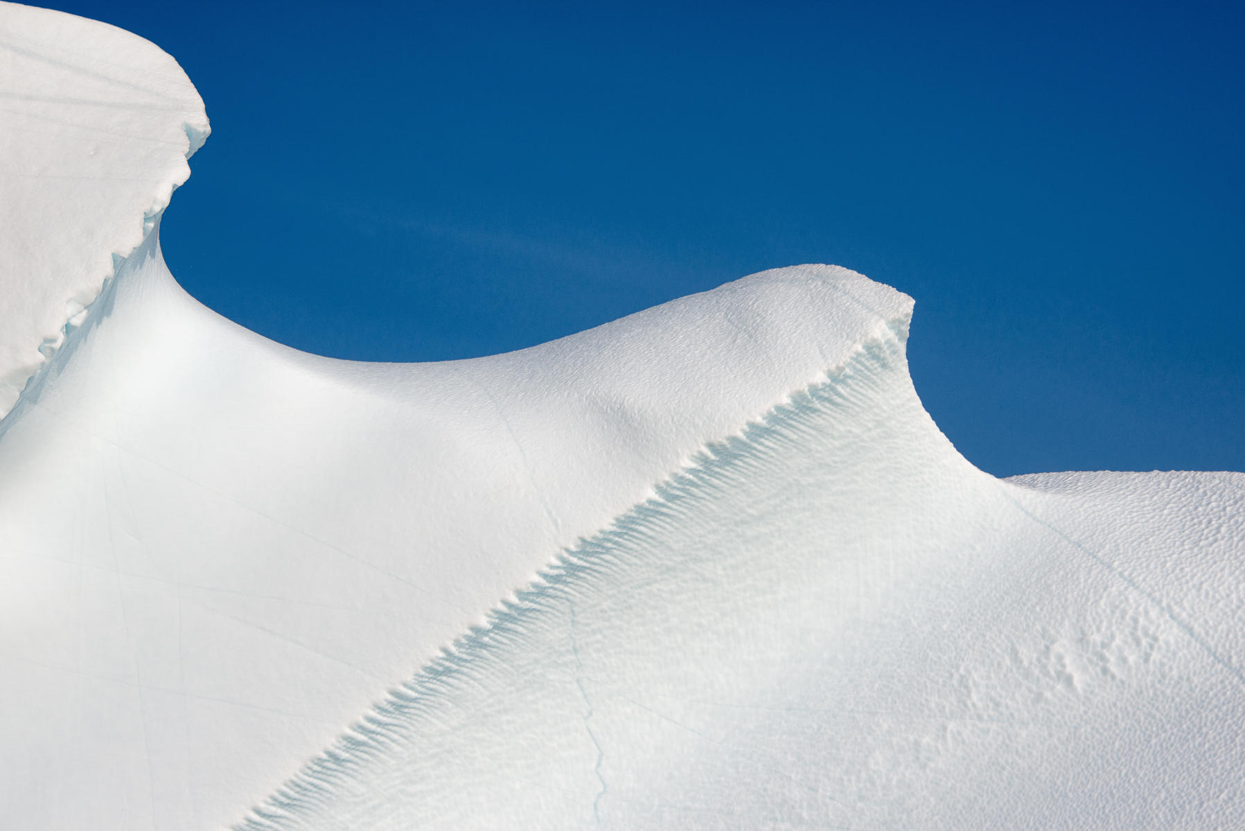 The Top, Greenland
 : Arctic, A Sea of Ice : ELIZABETH SANJUAN PHOTOGRAPHY