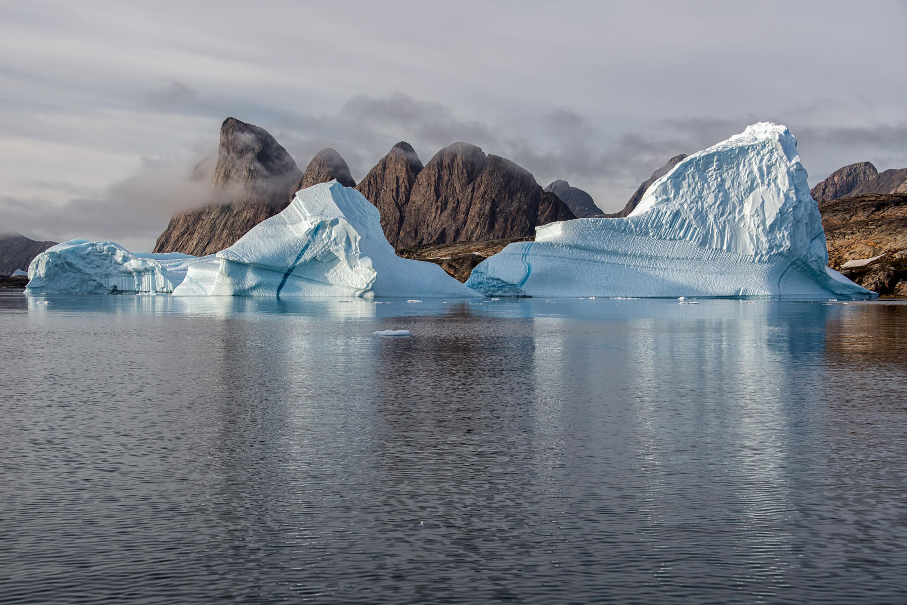 Two Resting Lions, Greenland : Arctic, A Sea of Ice : ELIZABETH SANJUAN PHOTOGRAPHY