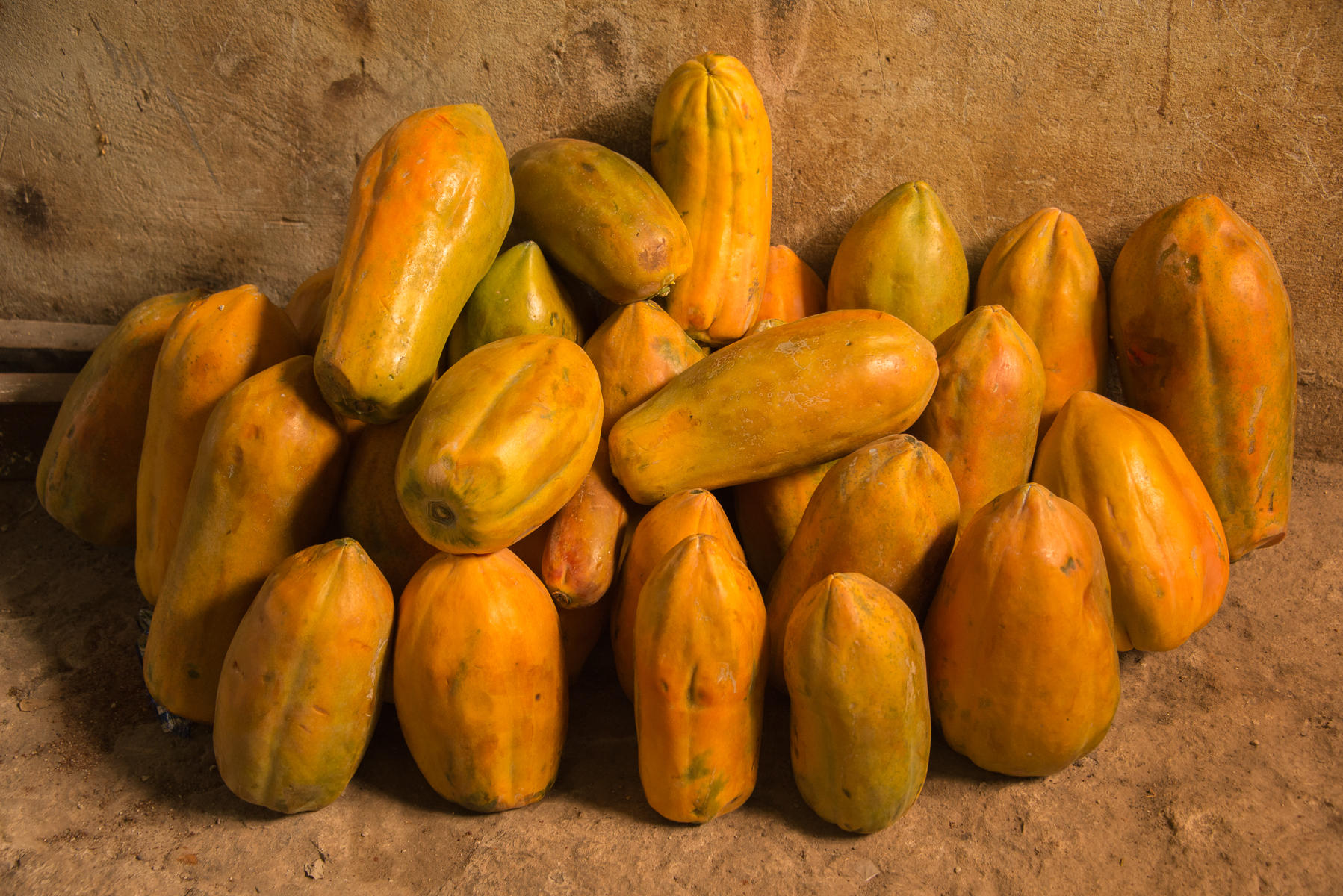 Mi Papayas : Cuba, Where Time Stands Still : ELIZABETH SANJUAN PHOTOGRAPHY