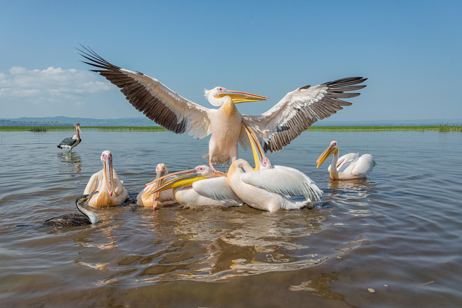 Taking Flight : Ethiopia,  Vanishing Omo Tribess : ELIZABETH SANJUAN PHOTOGRAPHY