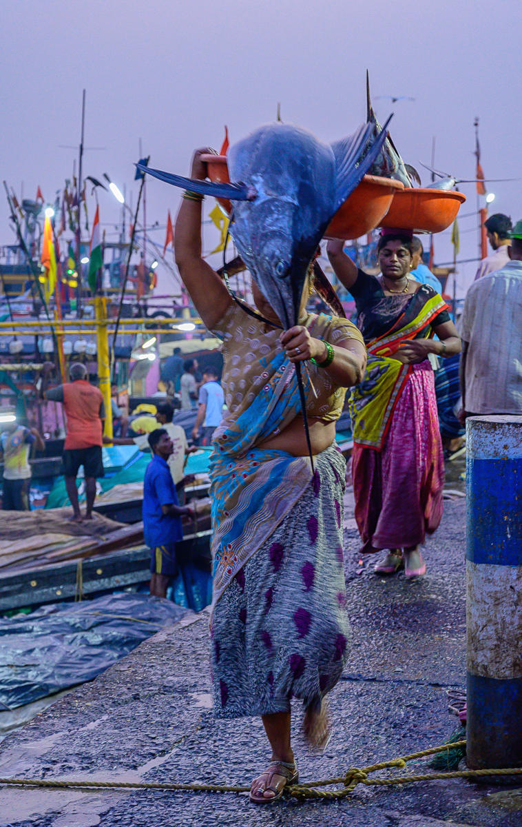 Swordfish : India & Sri Lanka, Resounding Colors : ELIZABETH SANJUAN PHOTOGRAPHY