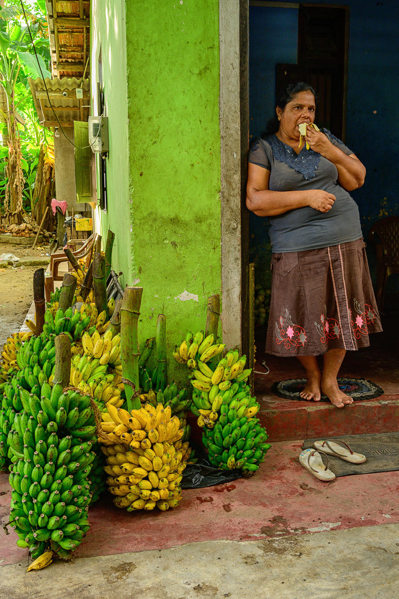 Going Bananas
 : India & Sri Lanka, Resounding Colors : ELIZABETH SANJUAN PHOTOGRAPHY