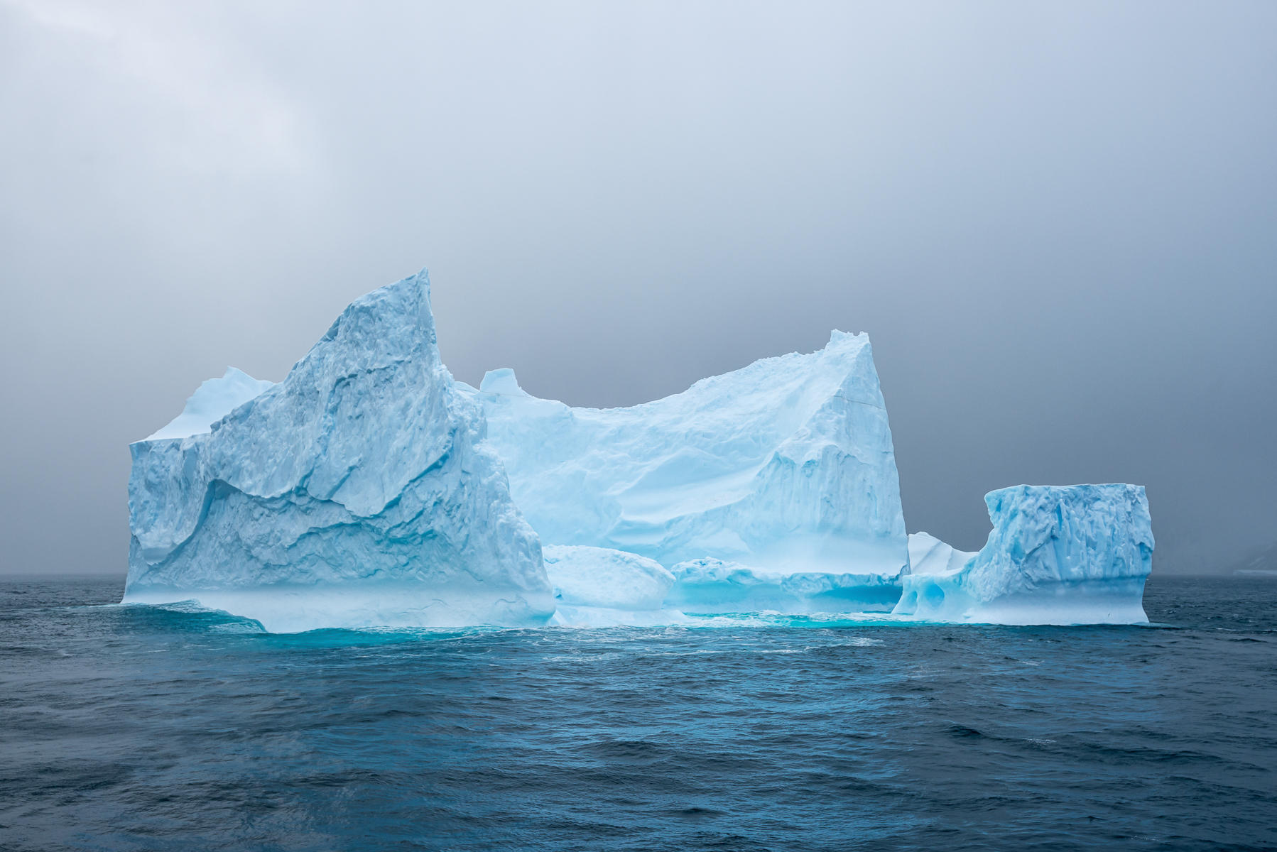 Adrift : South Georgia Island, Penguin Kingdom  : ELIZABETH SANJUAN PHOTOGRAPHY