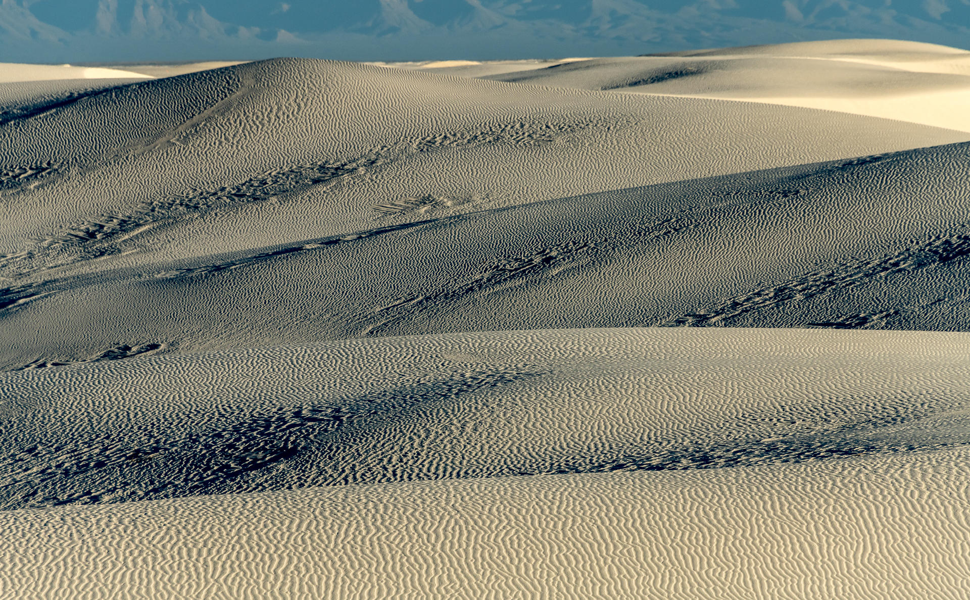 Into the Gray : White Sands, Glistening Sands of New Mexico : ELIZABETH SANJUAN PHOTOGRAPHY