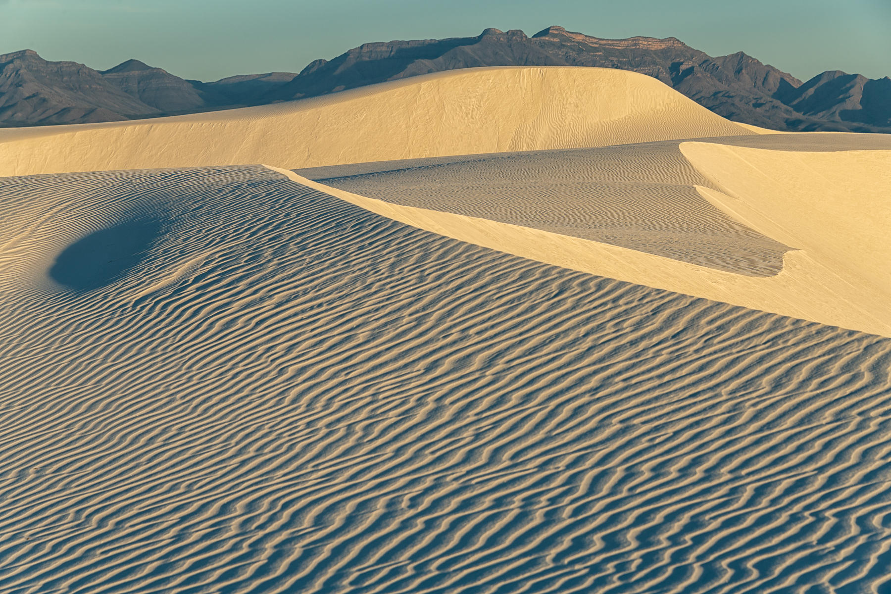 Golden Sands : White Sands, Glistening Sands of New Mexico : ELIZABETH SANJUAN PHOTOGRAPHY
