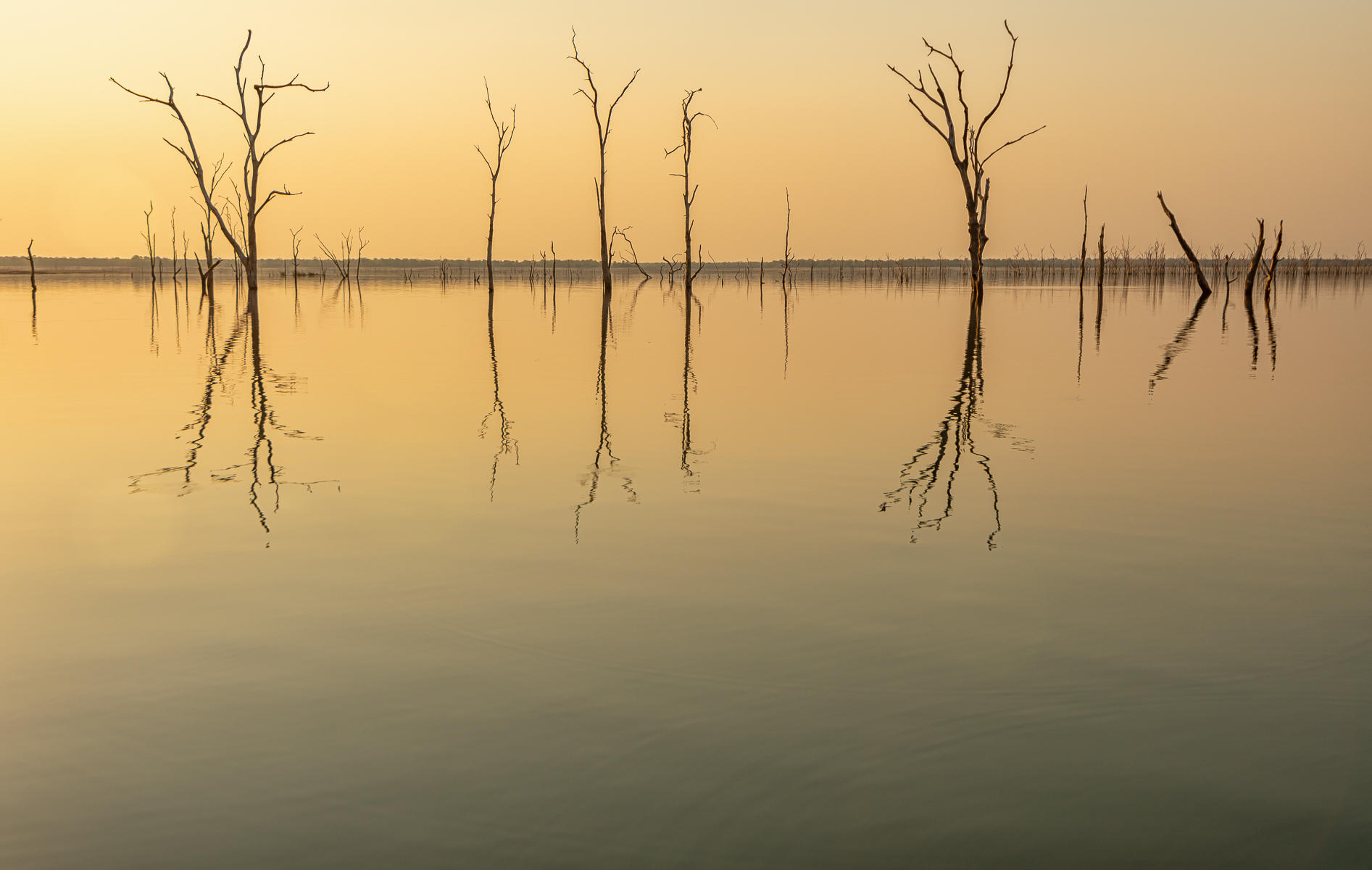 Stilts, Zimbabwe : Trees, Our Oxygen : ELIZABETH SANJUAN PHOTOGRAPHY