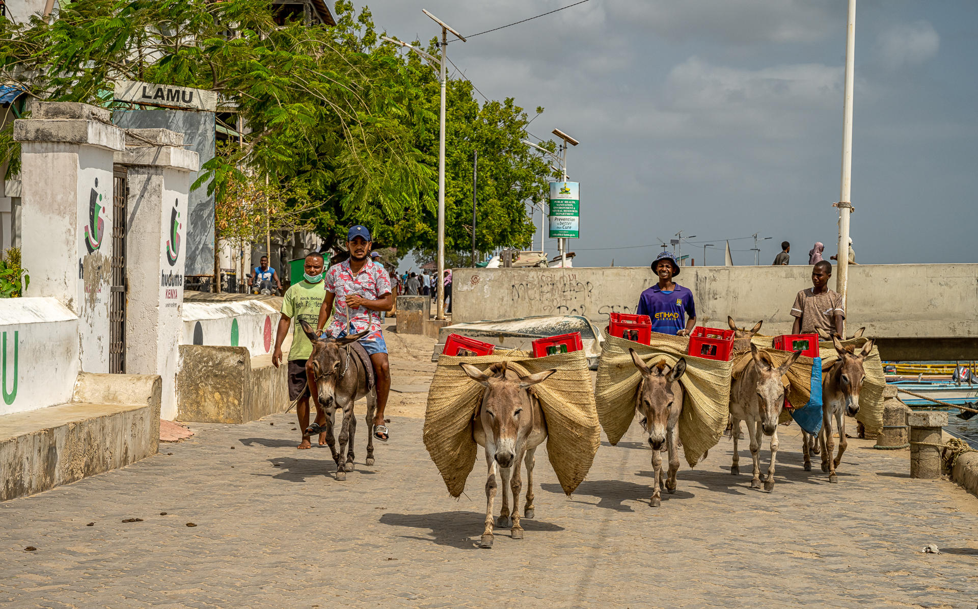 Coke : Kenya, Lamu, Where the World is Still : ELIZABETH SANJUAN PHOTOGRAPHY