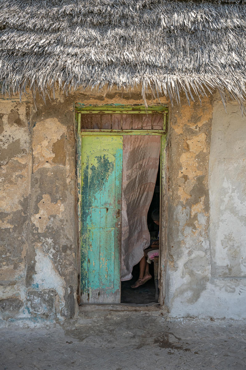 Shades of Green : Kenya, Lamu, Where the World is Still : ELIZABETH SANJUAN PHOTOGRAPHY
