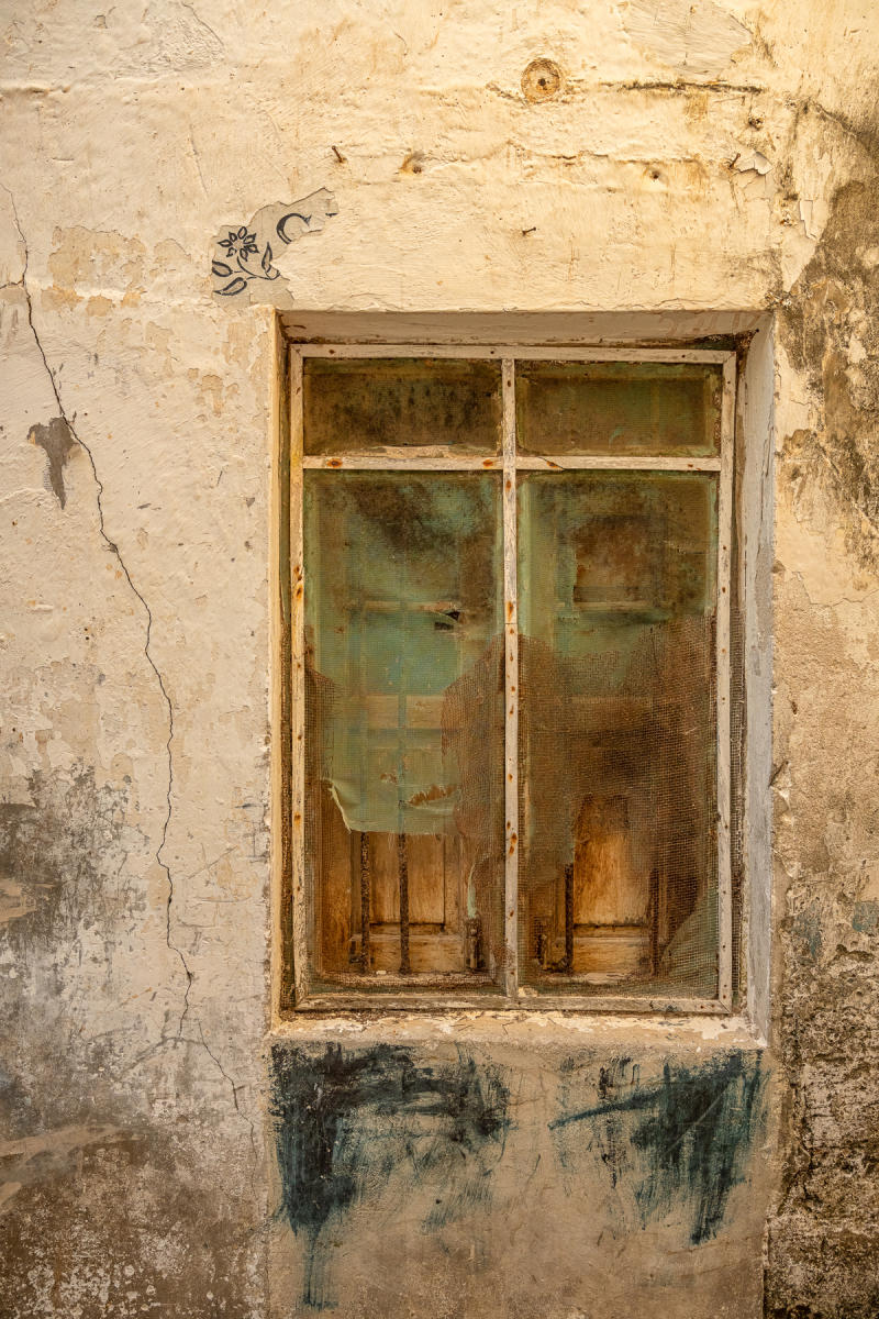 Sunflower : Kenya, Lamu, Where the World is Still : ELIZABETH SANJUAN PHOTOGRAPHY