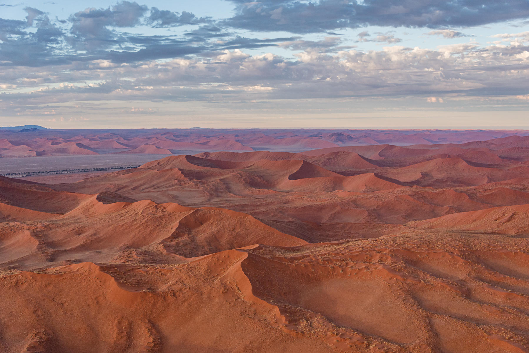 Dawn  : Namibia, The Land of Dunes : ELIZABETH SANJUAN PHOTOGRAPHY