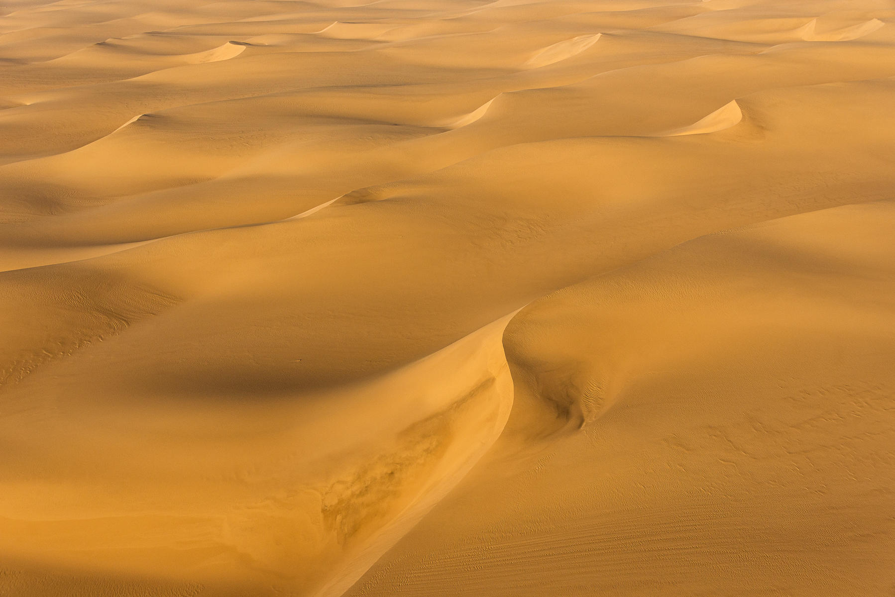 Coastal Dunes  : Namibia, The Land of Dunes : ELIZABETH SANJUAN PHOTOGRAPHY