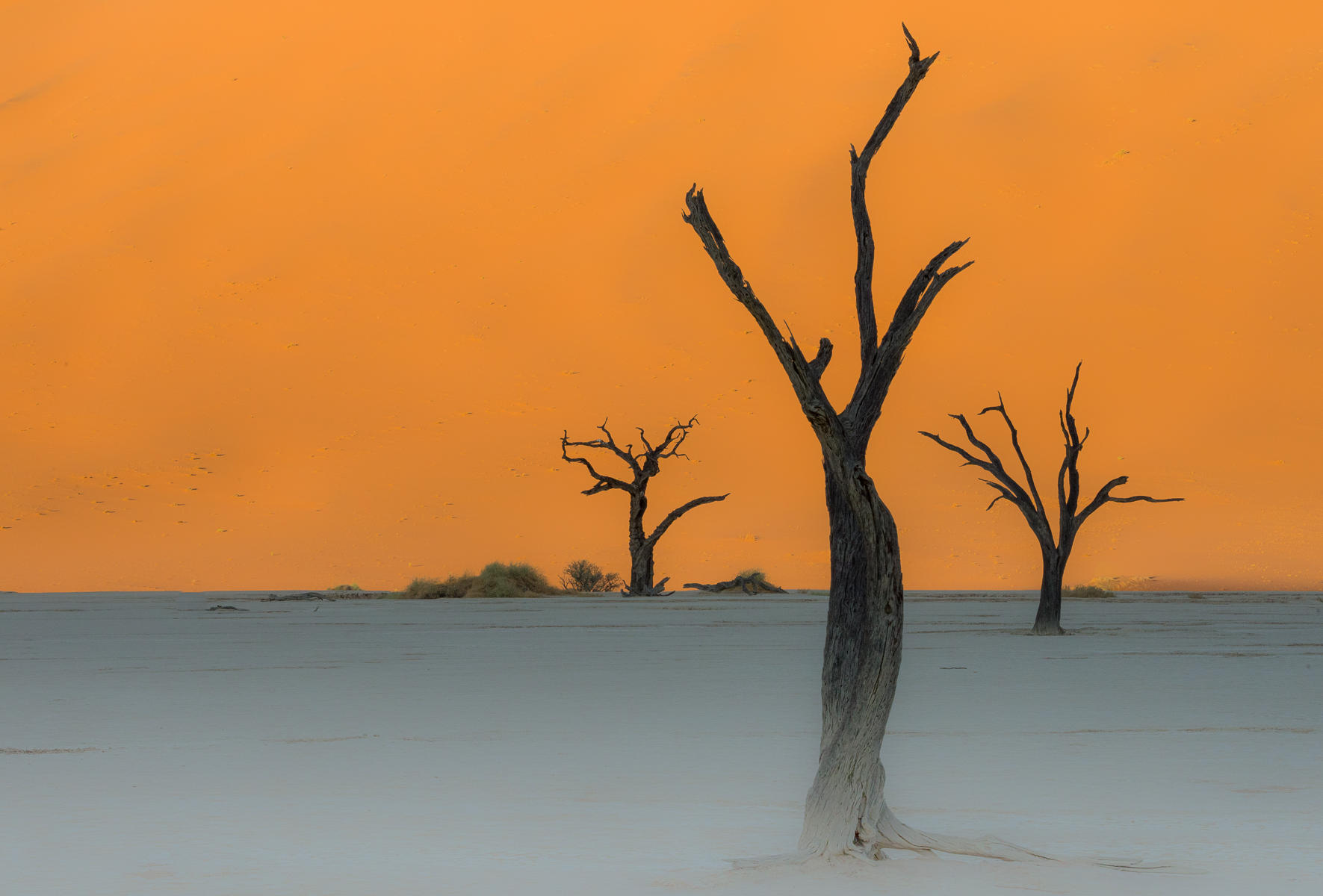 Sossusvlei  : Namibia, The Land of Dunes : ELIZABETH SANJUAN PHOTOGRAPHY