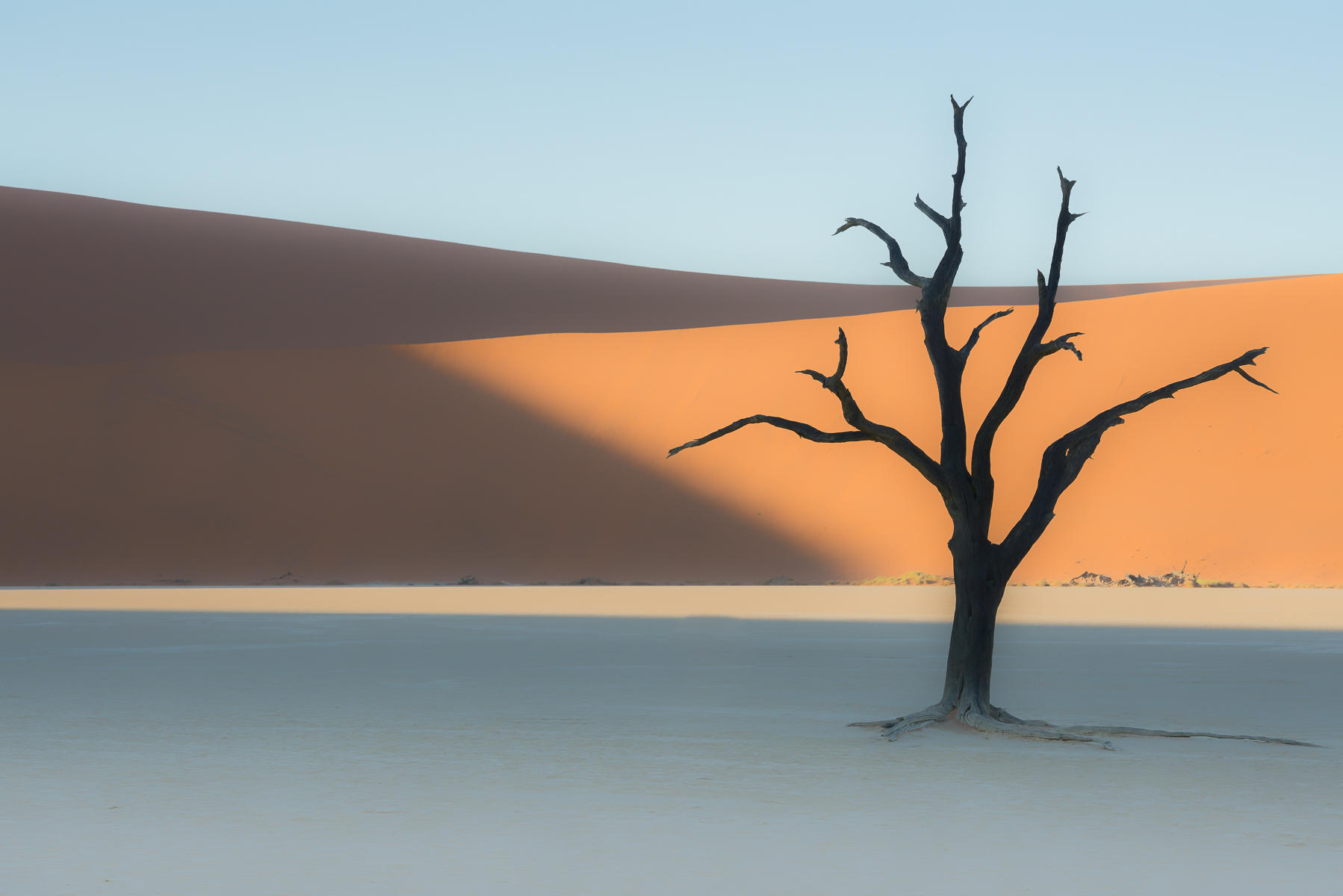 Single Tree, Sossusvlei : Namibia, The Land of Dunes : ELIZABETH SANJUAN PHOTOGRAPHY