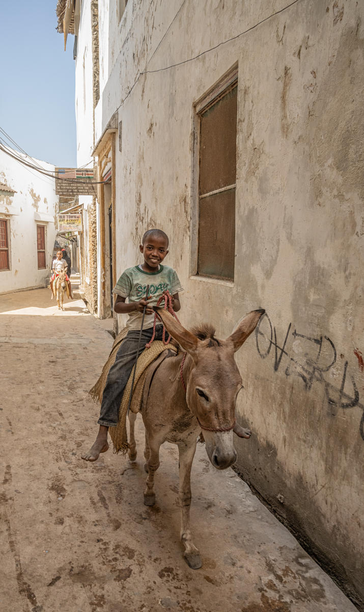A Boy and his Donkey : Kenya, Lamu, Where the World is Still : ELIZABETH SANJUAN PHOTOGRAPHY