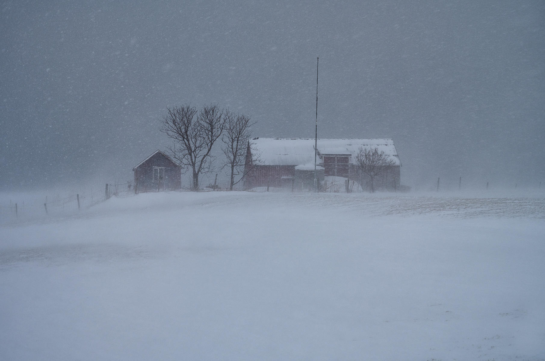 Stormy Days : Norway, Lofoten, Land of Cod : ELIZABETH SANJUAN PHOTOGRAPHY