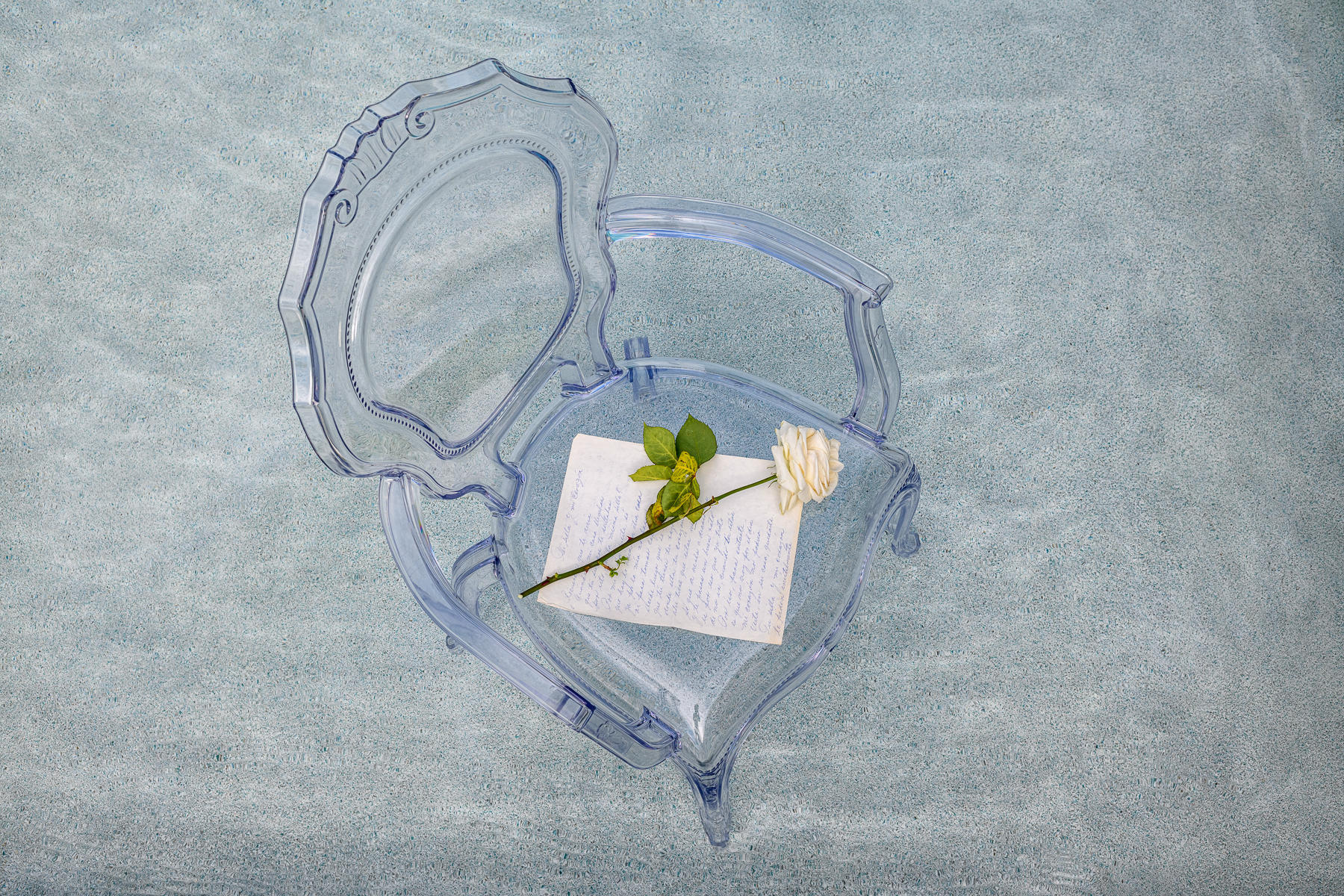 A white rose, with poems from mi Abuela : Recuerdos de mi Abuela : ELIZABETH SANJUAN PHOTOGRAPHY