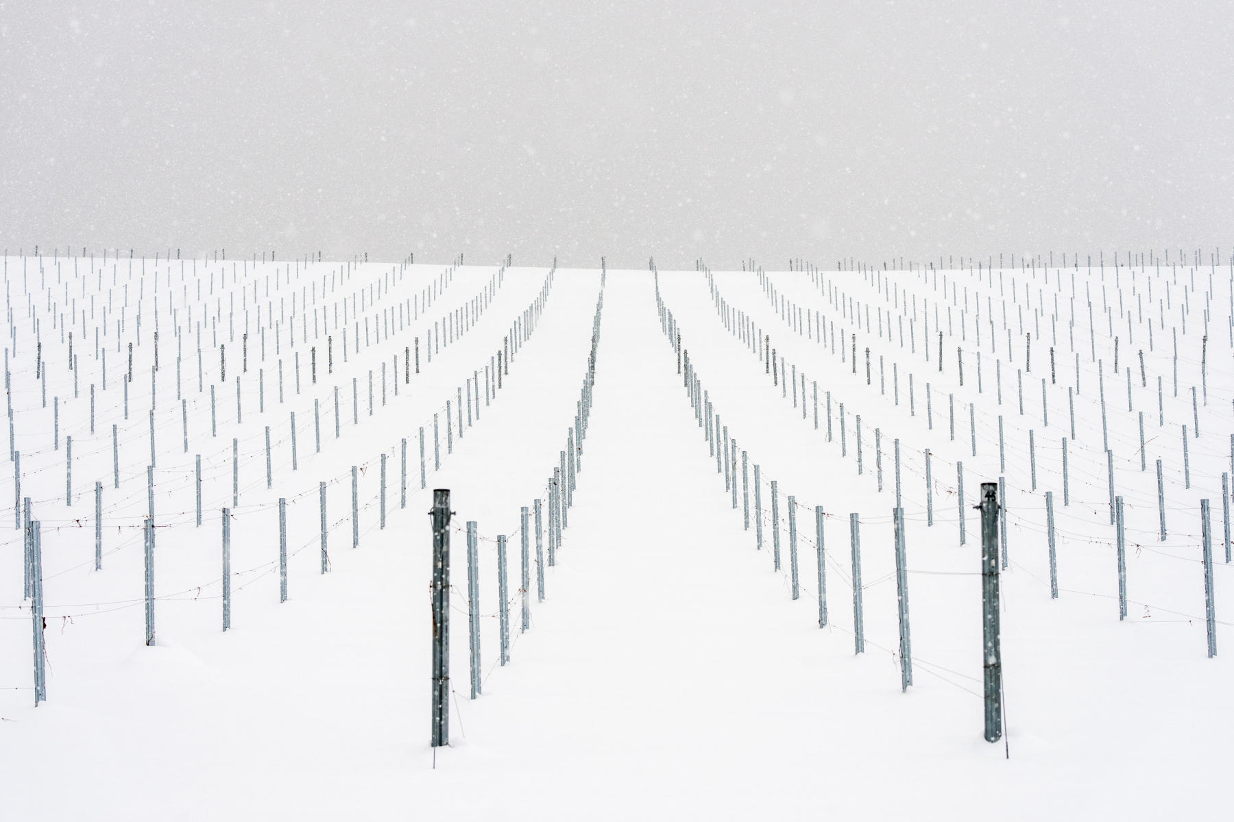  : Japan, Hokkaido, Silent Snow : ELIZABETH SANJUAN PHOTOGRAPHY