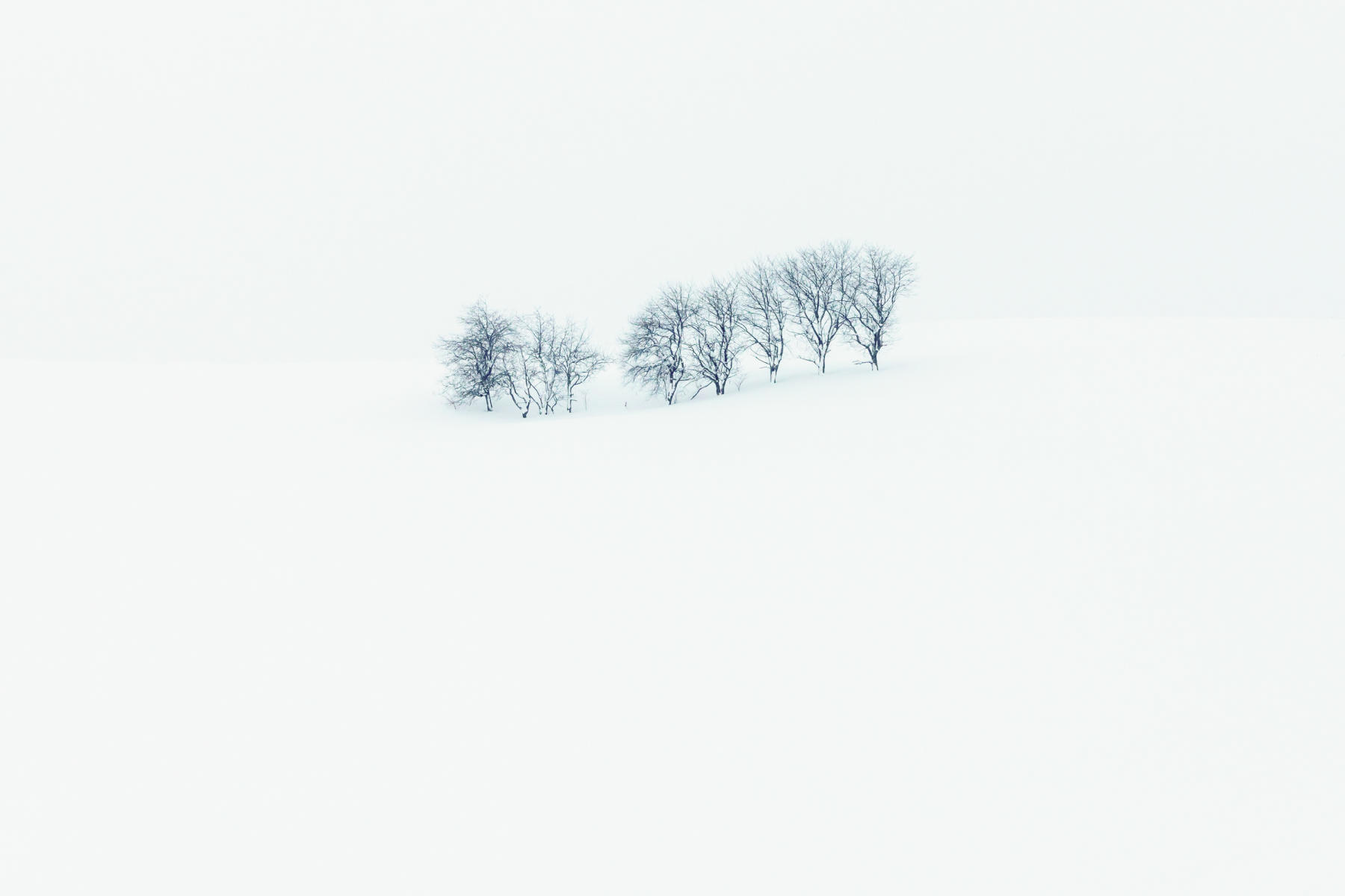  : Japan, Hokkaido, Silent Snow : ELIZABETH SANJUAN PHOTOGRAPHY