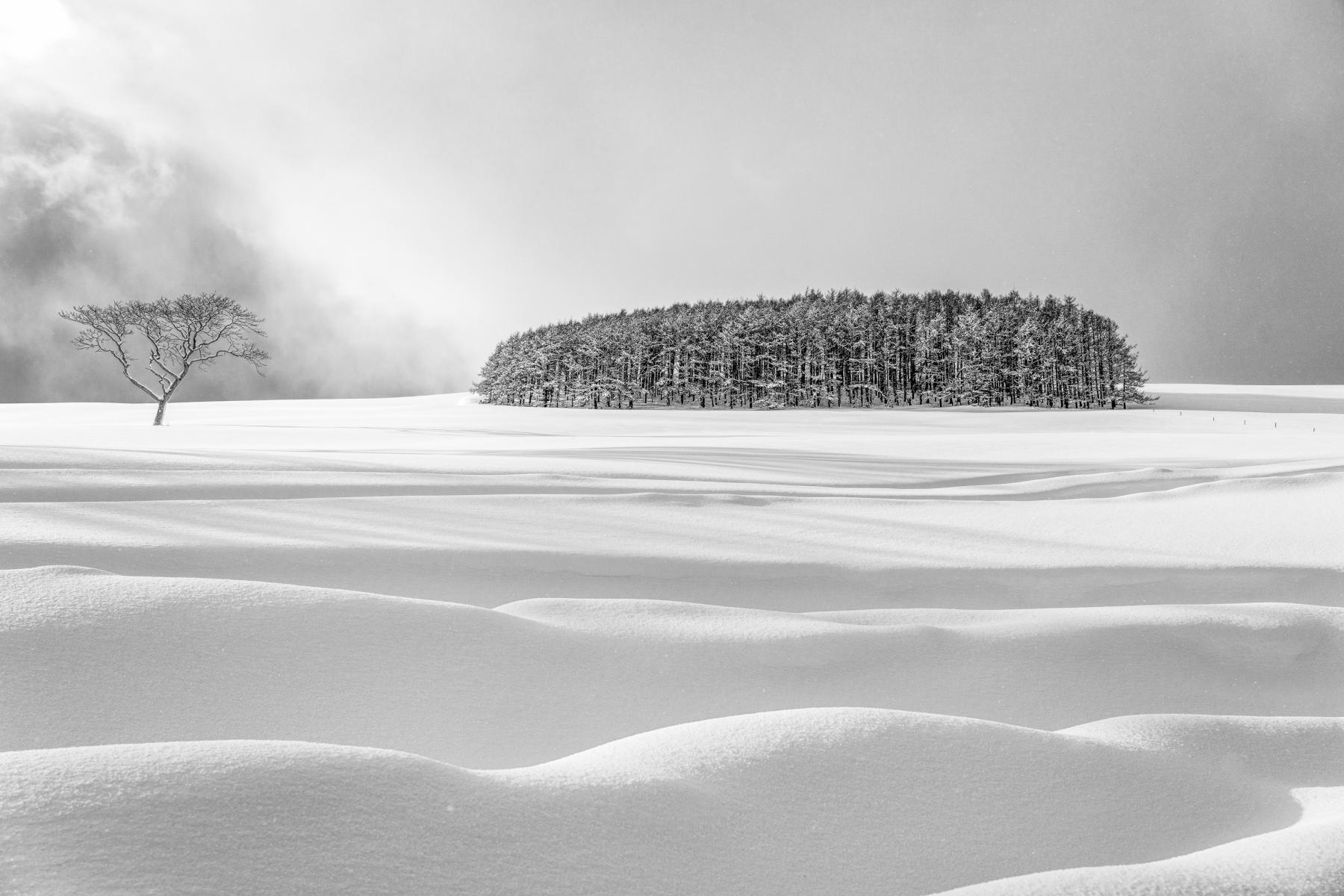  : Japan, Hokkaido, Silent Snow : ELIZABETH SANJUAN PHOTOGRAPHY