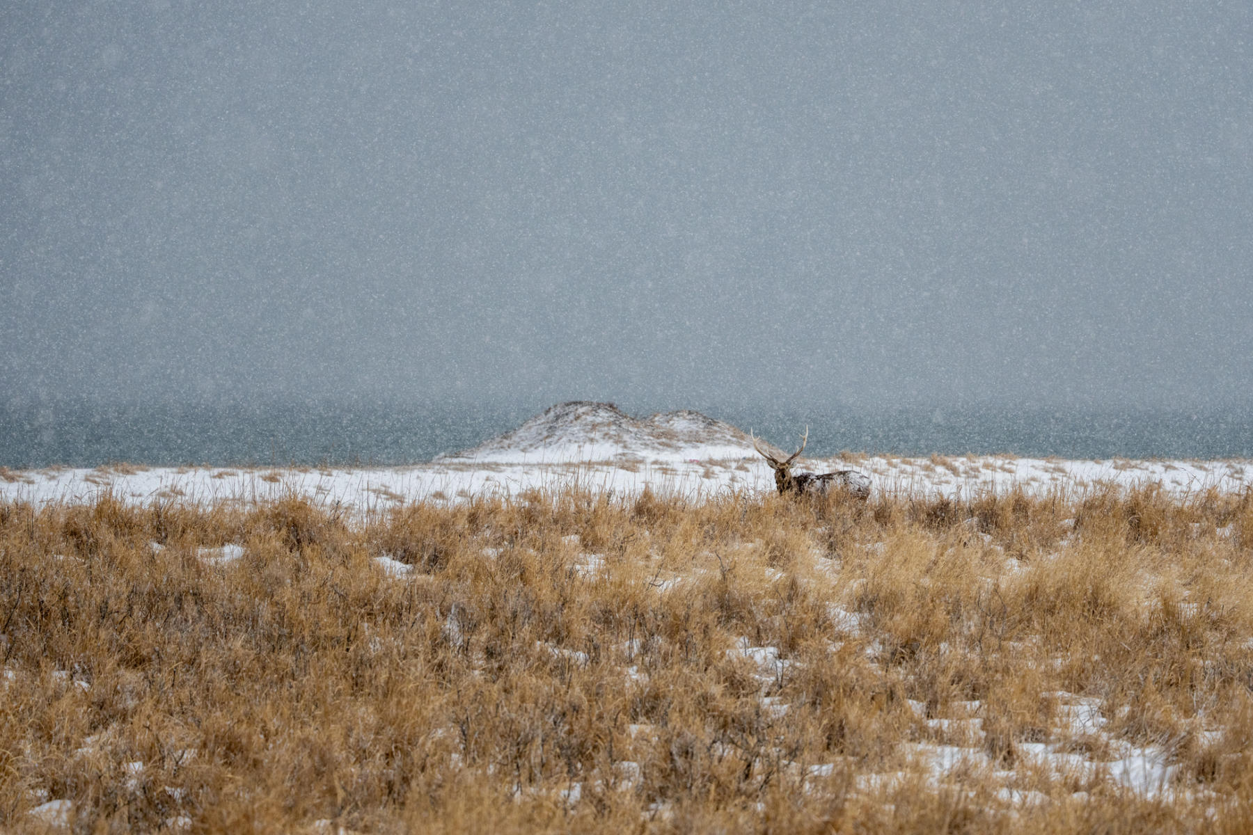  : Japan, Hokkaido, Silent Snow : ELIZABETH SANJUAN PHOTOGRAPHY