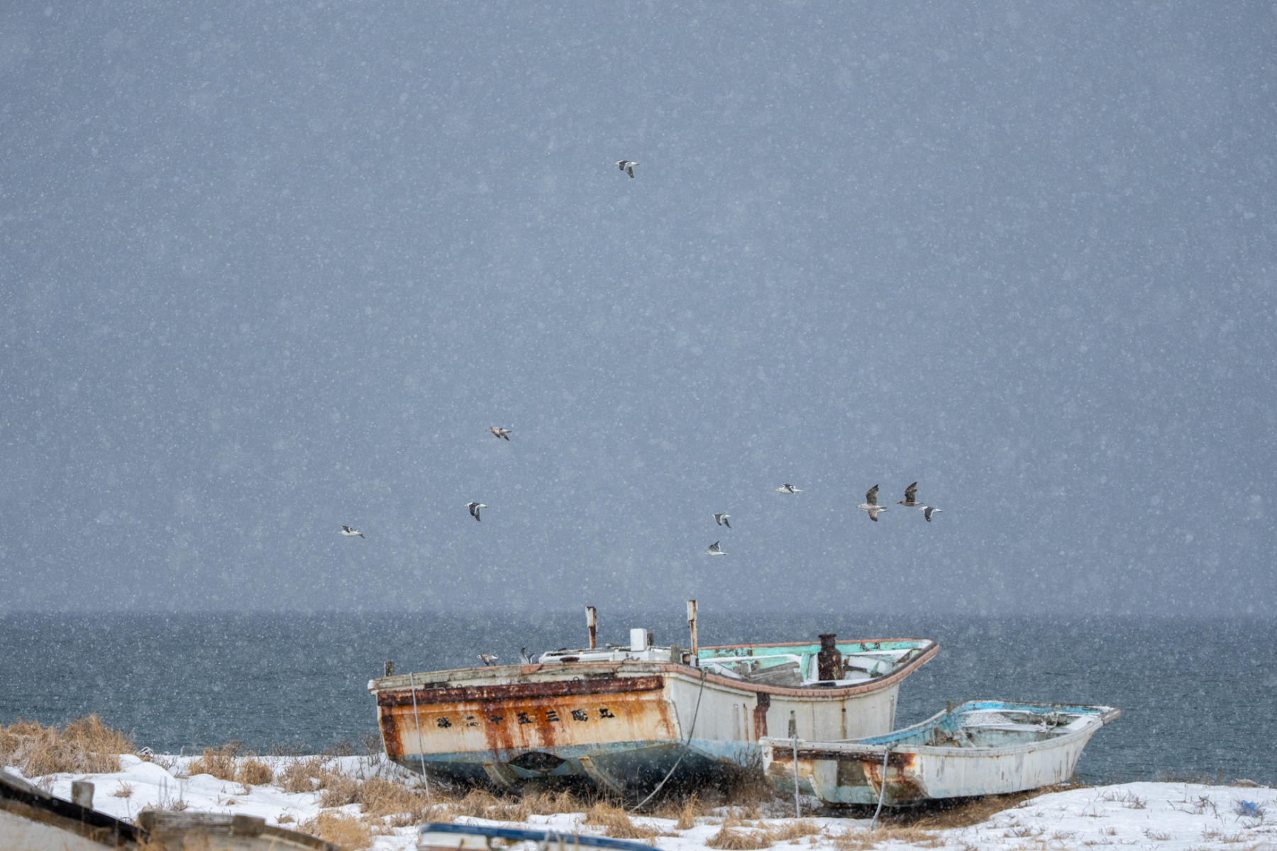  : Japan, Hokkaido, Silent Snow : ELIZABETH SANJUAN PHOTOGRAPHY