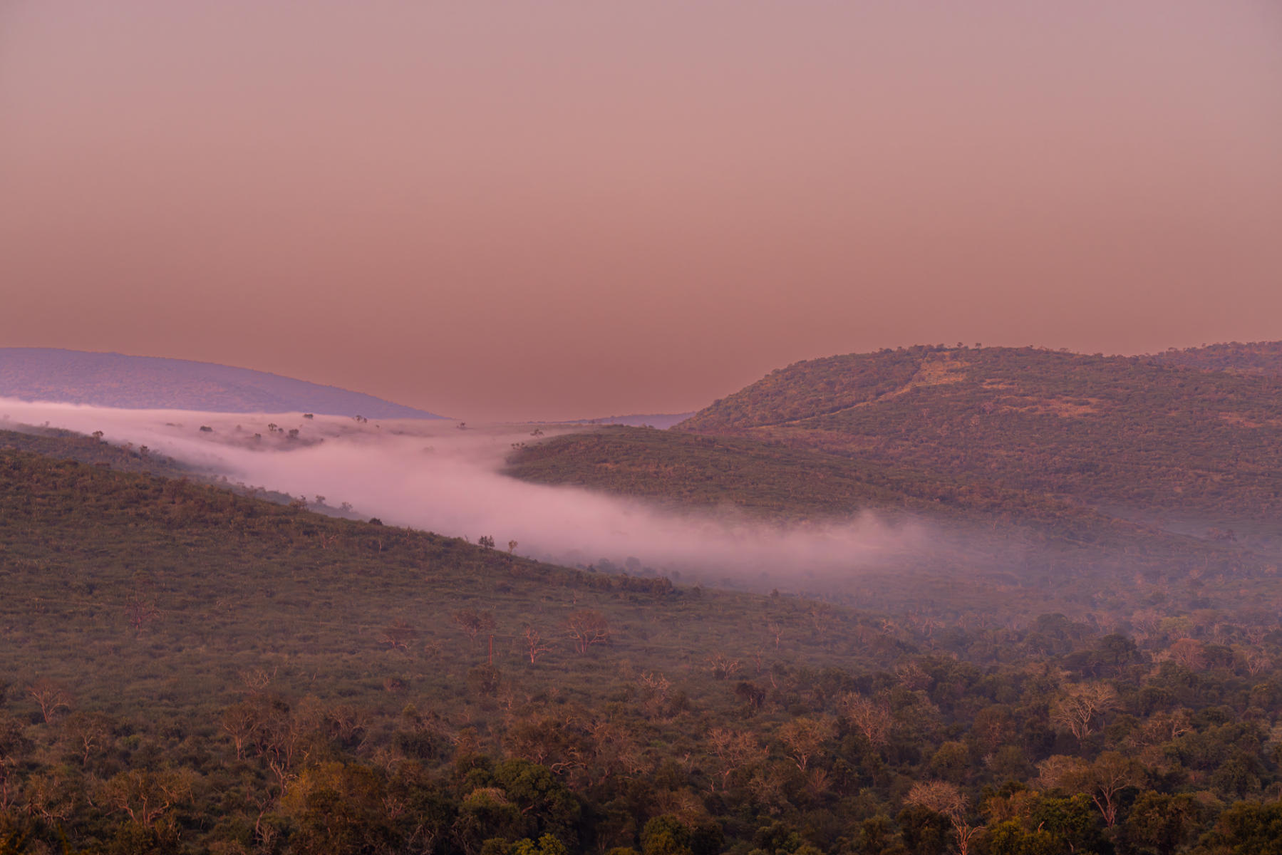Dawn Zimanga : South Africa : ELIZABETH SANJUAN PHOTOGRAPHY