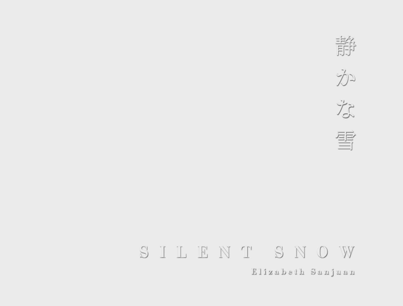 SILENT SNOW | hardcover - cloth over boards : SILENT SNOW : ELIZABETH SANJUAN PHOTOGRAPHY