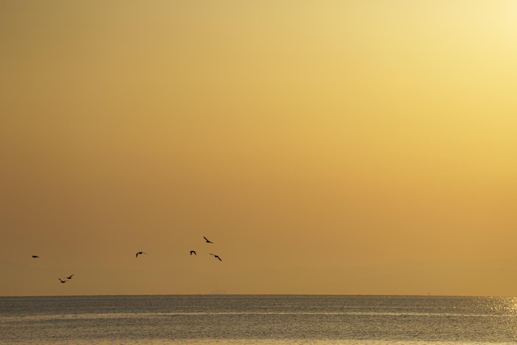 Taking flight : Japan,Kyushu : ELIZABETH SANJUAN PHOTOGRAPHY