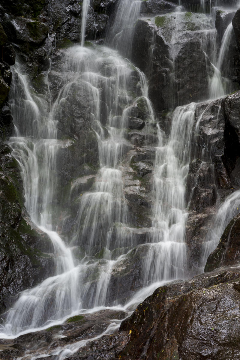 Waterfall : Japan,Kyushu : ELIZABETH SANJUAN PHOTOGRAPHY