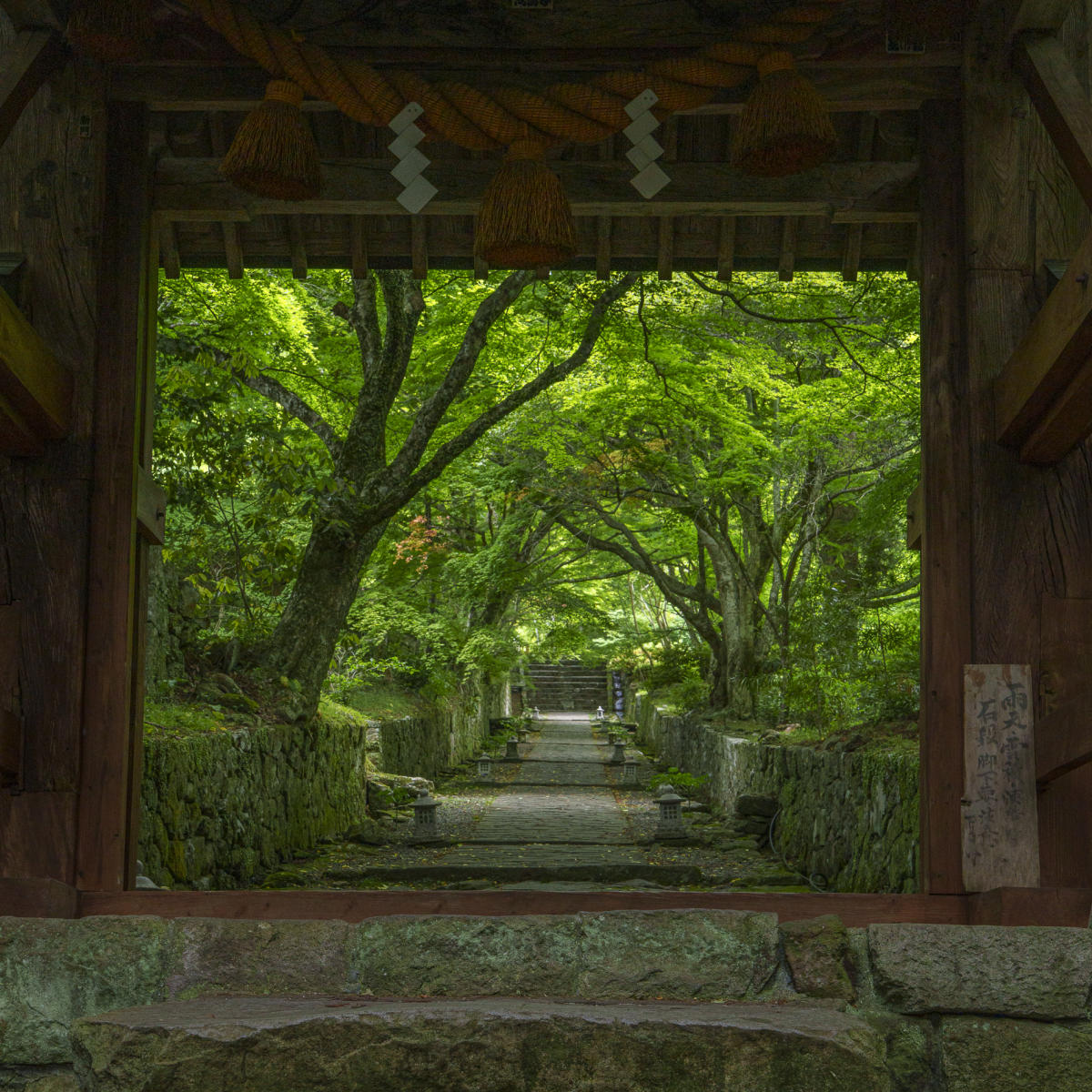 Sacred stairs : Japan,Kyushu : ELIZABETH SANJUAN PHOTOGRAPHY